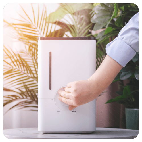 Indoor Air Quality Humidifiers Service Hana Hou Home