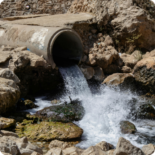 Sewage Backup Response by Hana Hou Home