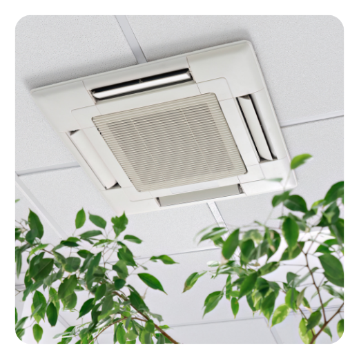 indoor air quality Hana Hou Home